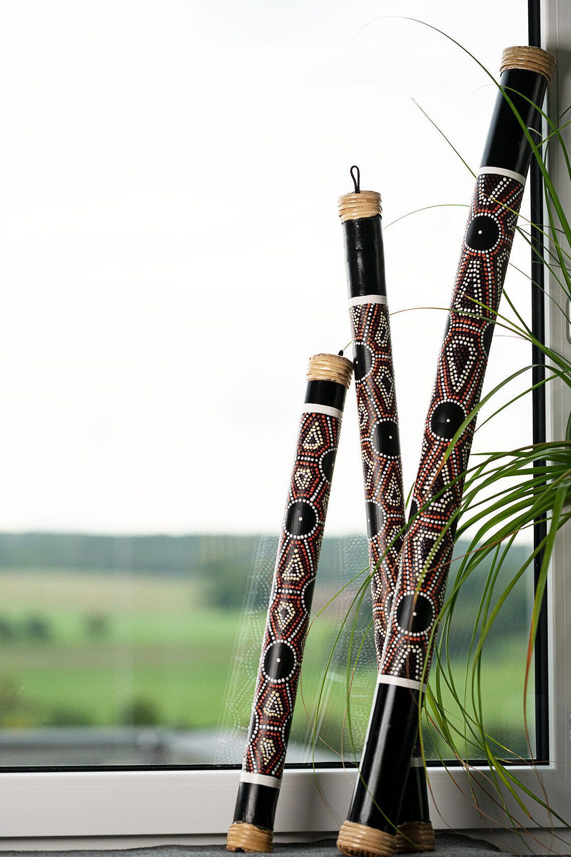 Didgeridoos décoratifs près d'une fenêtre