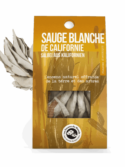 Sauge blanche de Californie | Rameaux de Purification