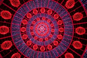 Glossaire du Yoga M et N – Mala et Neuroplasticité